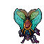 Lacewing Moth