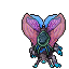 Hibernal Moth